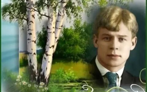 诗歌品鉴——著名俄罗斯诗人叶赛宁作品《小白桦》-叶赛宁写的白桦诗配画