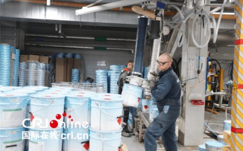 “普希金故乡行”融媒体报道（二）：普希金故乡企业期望与中方加强合作-普希金的生平与创作