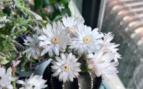 沉下心来，慢慢变好-沉下心来,慢慢变好