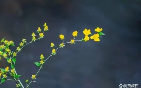 “烧的香多，惹的鬼多”，一句老古话，却道出人的本性！-烧的香多,惹的鬼多什么意思