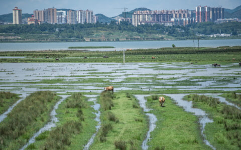 （奋斗百年路 启航新征程·巩固拓展脱贫攻坚成果·图文互动）告别苦瘠　再启新程——中国最后九个脱贫县巩固振兴周年观察-巩固拓展脱贫攻坚成果主要干什么