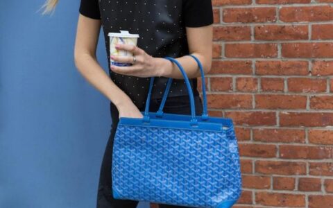 听过真正的富人喜欢的不是Gucci、爱马仕，而是Goyard-富人买奢侈品吗