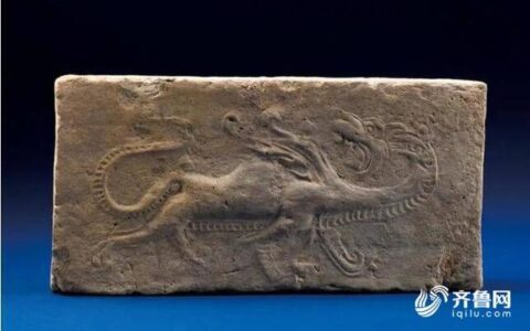 走，咱们一起去瞧瞧临沂市博物馆里的“小虎队”-临沂博物馆小孩子需要预约吗