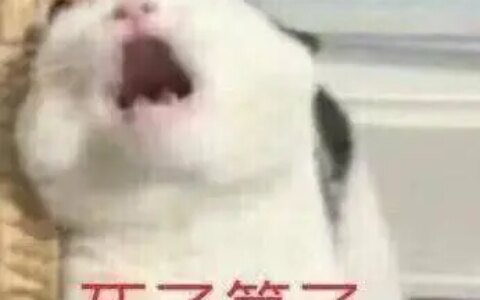 名字里有生僻字是一种什么样的体验？-名字有生僻字好吗