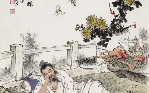 庄周梦蝶有什么哲学寓意？-庄周梦蝶的哲学思考