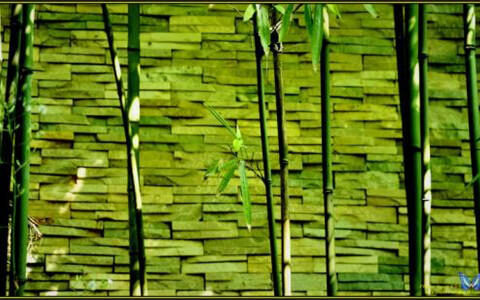 是庄周梦蝶，抑或是蝶梦庄周-庄周梦蝶还是蝶梦庄周什么意思