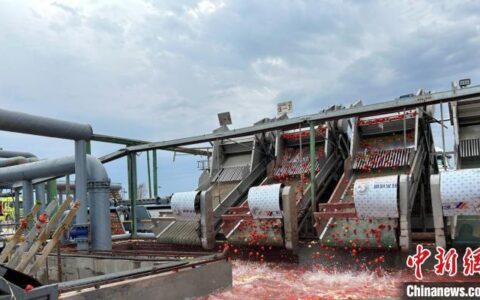 新疆昌吉市产业发展“蹚出新路子”为乡村振兴增添“新活力”-新疆昌吉发展潜力怎么样