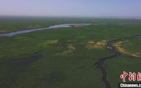 新疆博斯腾湖开展鸟类迁徙路线卫星跟踪监测工作（图）-新疆博斯腾湖面积多大平方千米