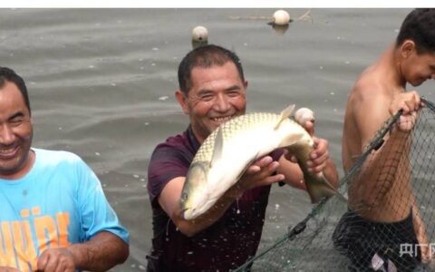 乡村振兴看新疆|“渔”利满满-新疆乡村振兴战略考核