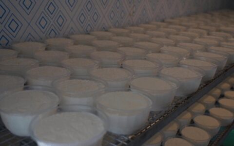 新疆库车：小产业托起群众致富梦-库车支柱产业