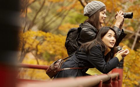 年轻人又爱上了跟团游-年轻人跟团游好还是自由行