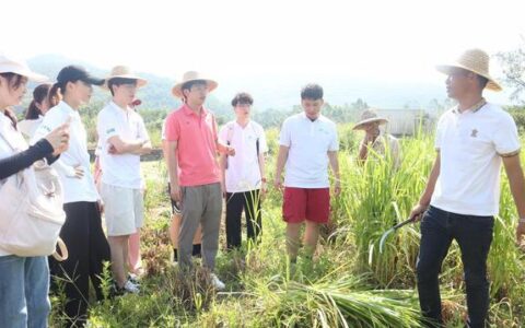 广东工业大学“百千万工程”突击队走进阳江闸坡“试验田”，探索乡村振兴“新路子”-广东工业大学学校地址