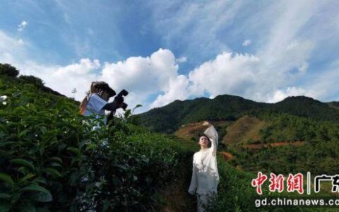 广东工业大学师生“艺术+”赋能河源东源县茶产业发展-广东工业大学高源