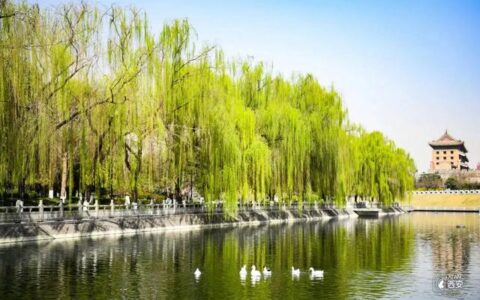 西安春季旅游攻略！这10条精品线路快收藏-西安春季旅游最佳去处