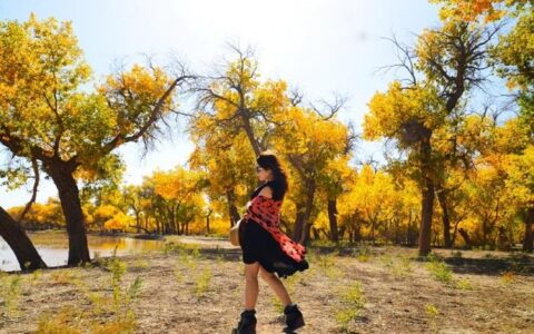 西北大环线8天预算，西北大环线8天7晚行程【攻略汇总】-西北大环线从哪里出发