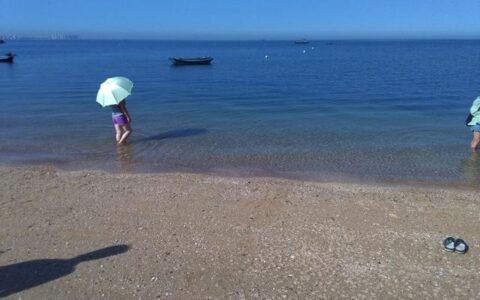 山东龙口桑岛三天两晚旅游详细攻略，第三天，随渔家出海抓螃蟹-龙口桑岛农家乐一天价格