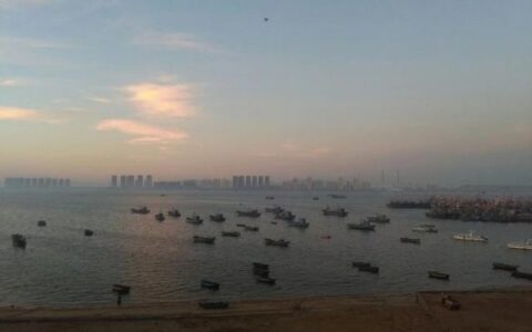 山东龙口桑岛三天两晚旅游详细攻略，第二天，赶海，钓鱼，下海-龙口桑岛旅游攻略2019