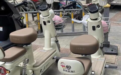 济南最近流行租一辆电动自行车“自驾游” 租车得提前两三天预约-济南哪里有租电动车跑外卖的地方