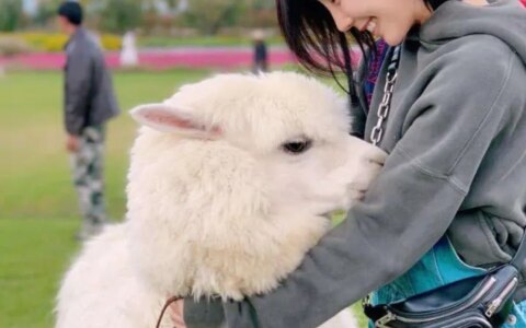 云南旅游攻略丽江大理5日精华游，去云南攻略，这样玩才过瘾！-丽江大理旅游攻略必去景点推荐