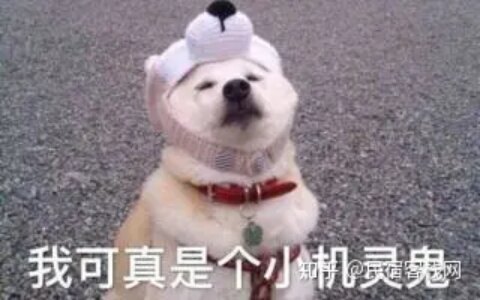 贵州最全旅游攻略：盘点贵州最美旅游地！-贵州旅游必去景点排名