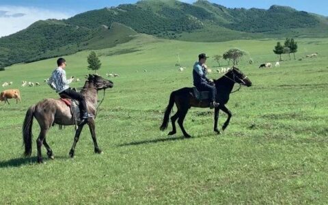 内蒙古旅游攻略，值得收藏的省钱攻略！-内蒙古旅游攻略必玩的景点气温