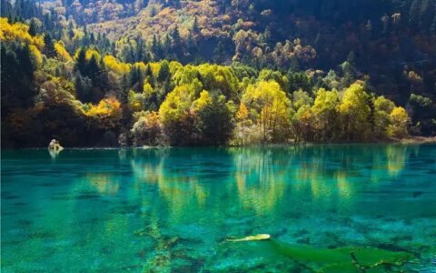 四川五一假期热门景点 九寨沟旅游攻略 低音号免费语音导游-九寨沟音乐节门票