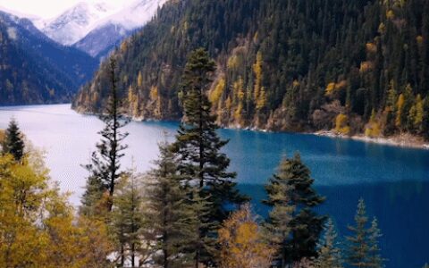 老牌5A，快要“飙”起来了→