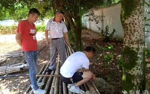 赤壁市应急管理局用“小”机井解决抗旱“大”问题-赤壁市安监局电话