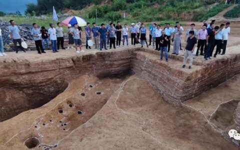 大湖咀遗址最新进展！全国知名考古学家齐聚赤壁