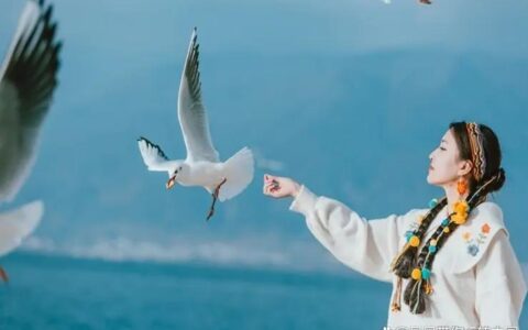 云南丽江旅游攻略及费用，丽江古城有哪些景点，看完少花冤枉钱-丽江古城必去的几个景点图