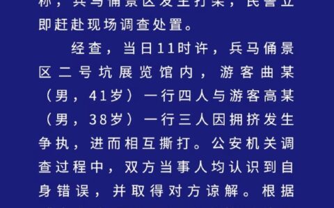 多名游客在兵马俑景区互殴，有人受伤送医，警方通报-兵马俑大厅