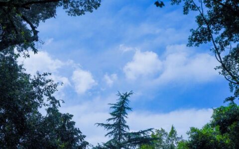 抽点时间，去乐山大佛景区感受盛夏光景-乐山大佛景区沿途讲解