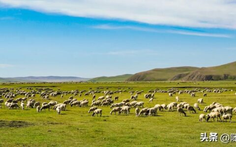 内蒙古必去的五大景点，你都去过几个？-内蒙古必去的旅游景点