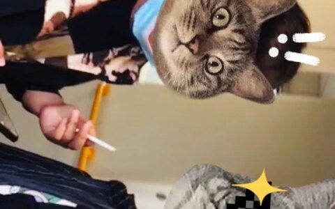 洛阳市老君山攻略 怎么玩 详情 ？ ?-洛阳老君山多少钱门票