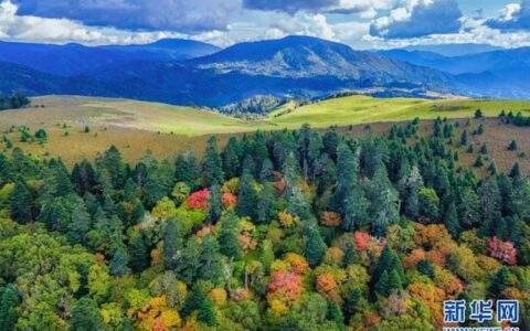 新增美景打卡地！云南丽江老君山格拉丹景区开园-云南100个最美观景拍摄点