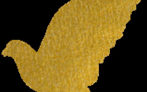 周末儿童博物馆｜精彩纷呈的“周末儿童博物馆·暑期季”来陪孩子们度假啦！-儿童博物馆要门票吗