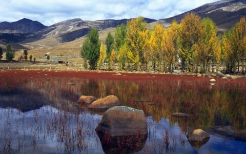 云游全国新5A｜四川省甘孜州稻城亚丁旅游景区-四川甘孜稻城亚丁山林风光