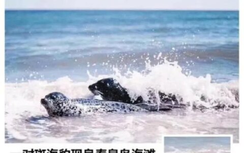 在北戴河阿那亚住是怎样的体验？-北戴河阿那亚门票多少钱