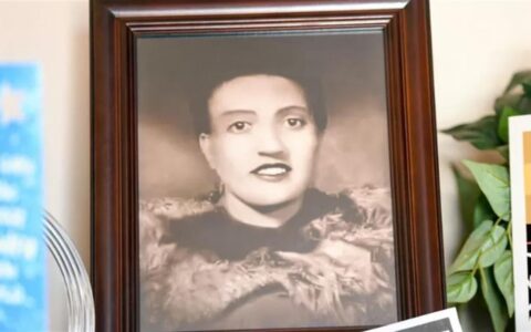 宫颈内的“永生”细胞被复制5000万吨卖到世界各地，患者却毫不知情，世卫组织总干事谭德塞发声-宫颈里是什么东西图片