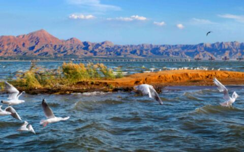 乌海旅游攻略｜第一次去乌海必去的几个景点你知道吗？-乌海有哪些旅游景点可以玩