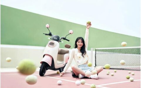 新日电动车，讨你所喜，值得青睐-新日电动车售价多少