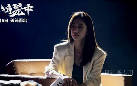 逆袭夺冠，《八角笼中》票房冲7亿！王宝强给国产片又趟出一条路-八角笼主演是谁