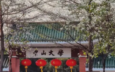 中山大学排名是多少？这项数据告诉你！-中山大学排名一览表