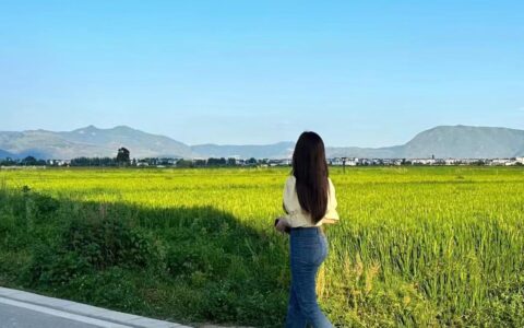 带爸妈10天9晚云南自由行攻略，0踩雷-云南旅游攻略自由路线推荐