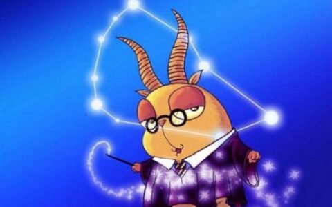 关于摩羯座的性格，你了解多少-摩羯座的性格是什么样的男生