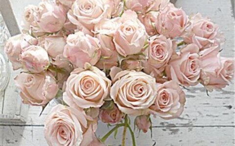 摩羯座的本质，成就了ta的传奇-摩羯座的本质,成就了ta的传奇人生