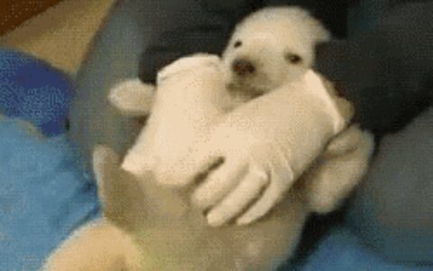 你是不怕痒技能满点选手吗？-不怕痒代表什么