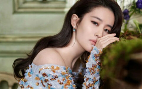 在演艺圈，刘亦菲以自己的天分与努力，迎接每一个挑战-刘亦菲们是什么网络用语