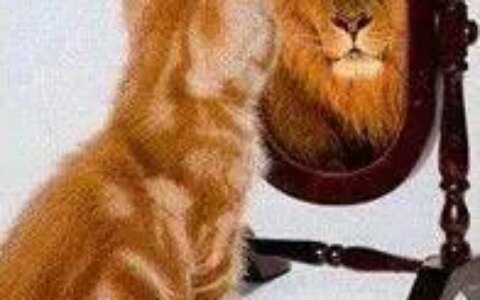 荨麻疹的辩证与治疗，自己调理必须要知道的四种类型！-荨麻疹的辨证论治