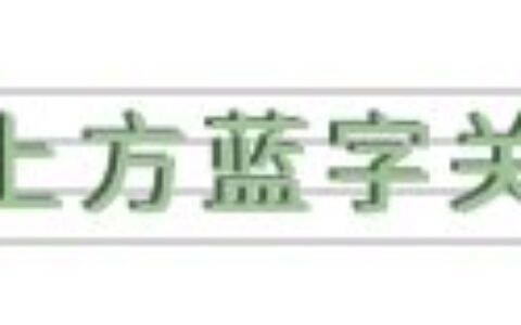 户外无动力游乐设备厂家–非标游乐设备定制-户外无动力游乐设备价格